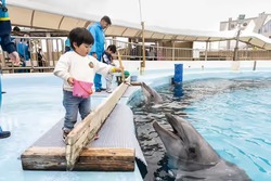 「【2026夏休み】福岡のおでかけ最新人気ランキングTOP10 恐竜体験・水族館・職業体験も」の写真