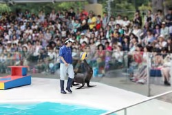 「【2026夏休み】広島のおでかけ最新人気ランキングTOP10 プール・水族館・室内遊びも」の写真