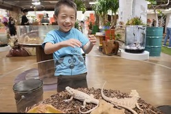 「【奈良2026】夏休みのおでかけ最新人気ランキングTOP10 遊園地・プール・ミュージアム」の写真