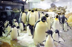 「【和歌山2026】夏休みおでかけ最新ランキングTOP10 海上アスレチック・川遊びも」の写真