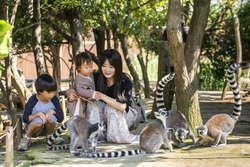 「【2026夏休み】兵庫のおでかけ最新人気ランキングTOP10 プール・動物・体験イベントも」の写真