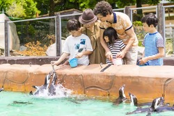 「【2026夏休み】兵庫のおでかけ最新人気ランキングTOP10 プール・動物・体験イベントも」の写真