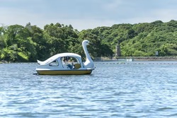 「【2026夏休み】兵庫のおでかけ最新人気ランキングTOP10 プール・動物・体験イベントも」の写真