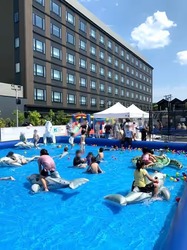 「【京都2026】夏休みのおでかけ最新人気ランキングTOP10 水遊び・アート・テーマパーク」の写真