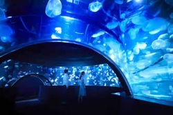「【京都2026】夏休みのおでかけ最新人気ランキングTOP10 水遊び・アート・テーマパーク」の写真