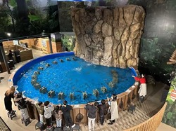 「【2026夏休み】愛知のおでかけ最新人気ランキングTOP10 室内遊び場からプールまで」の写真