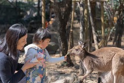 「【2026夏休み】静岡のおでかけ最新人気ランキングTOP10 水遊び・動物ふれあいも」の写真