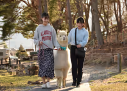 「【長野2026】夏休みのおでかけ最新人気ランキングTOP10 水遊び・アスレチックも！」の写真