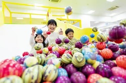 「【神奈川県】夏休みのおでかけ人気ランキングTOP10 室内遊園地・プール・体験施設も」の写真