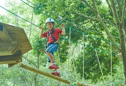 「【茨城2026】夏休みのおでかけ最新人気ランキングTOP10 体験・水遊び・動物ふれあいも」の写真