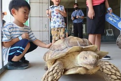 「【茨城2026】夏休みのおでかけ最新人気ランキングTOP10 体験・水遊び・動物ふれあいも」の写真