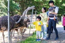 「【茨城2026】夏休みのおでかけ最新人気ランキングTOP10 体験・水遊び・動物ふれあいも」の写真