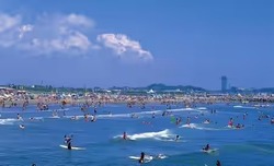 「【茨城2026】夏休みのおでかけ最新人気ランキングTOP10 体験・水遊び・動物ふれあいも」の写真