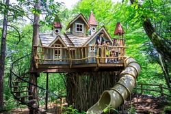 「【群馬】夏休みのおでかけ人気ランキングTOP10 水遊び・恐竜・サファリも」の写真