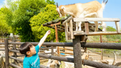 「【群馬】夏休みのおでかけ人気ランキングTOP10 水遊び・恐竜・サファリも」の写真