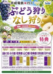 「電車で行く夏の果物狩り！京成沿線7農園でぶどう・なし狩り体験　アンケートで割引に」の写真