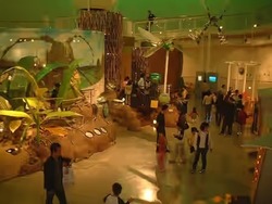 「【福島2026】夏休みのおでかけ最新人気ランキングTOP10 屋内プール・水族館・遊園地も」の写真