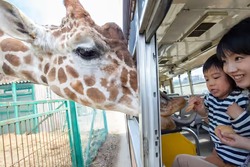 「【岩手2026】夏休みのおでかけ最新人気ランキングTOP9 屋内あそび・温泉・サファリも」の写真
