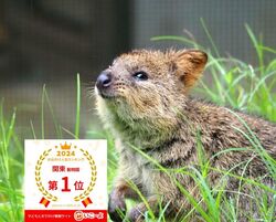 「【埼玉2026】夏休みのおでかけ最新人気スポットTOP10動物園・遊園地・屋内プールも」の写真