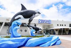 「【関東】お盆休みにおすすめ人気水族館ランキング 2026」の写真