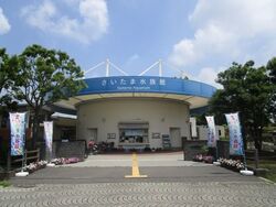 「【関東】お盆休みにおすすめ人気水族館ランキング 2026」の写真