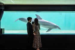 「【関東】お盆休みにおすすめ人気水族館ランキング 2026」の写真