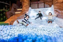 「【関東】お盆休みにおすすめ！人気アスレチックランキング 2026」の写真