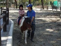 「【関東】動物園ランキングTOP10！2026お盆休みにおすすめ」の写真