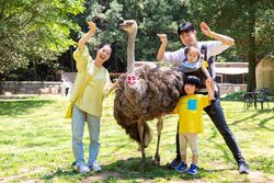 「【関東】動物園ランキングTOP10！2026お盆休みにおすすめ」の写真