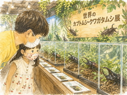 世界のカブトムシ・クワガタ展示