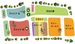 今季のYATZ GARDENの園内マップ