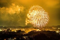 「大島の火まつり」と一緒に楽しめる花火大会です