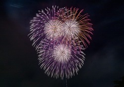 5号玉、スターマイン、仕掛け花火など多彩な花火が打ち上げられます