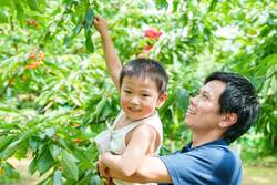 子供たちが主役の食育体験プログラムの様子