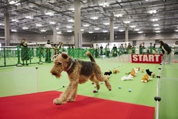 「【関東】2026年9月＆SWにおすすめ！親子向けおでかけ先＆イベントまとめ」の写真