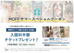 MOFFサマースペシャルクーポン