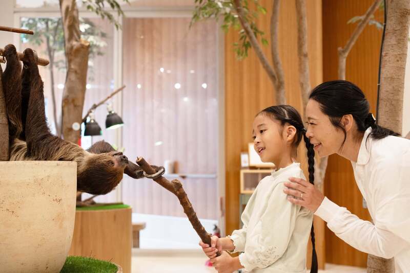 Moff animal cafe