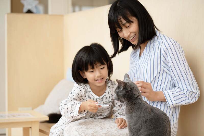 Cat Cafe MOFF