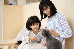 Cat Cafe MOFF