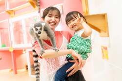 「カピバラとふれあえる！関西初上陸「アニタッチ OSAKA なんば」が2026年12月オープン」の写真