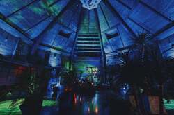 「モロッコランプ約40灯が彩る幻想の森へ！神戸布引ハーブ園の涼スポットが今夏も登場」の写真