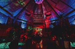 「モロッコランプ約40灯が彩る幻想の森へ！神戸布引ハーブ園の涼スポットが今夏も登場」の写真