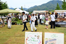 「800万本のコスモス園や気球体験も！秋の行楽にぴったりな「花と緑の祭典」が京都で」の写真