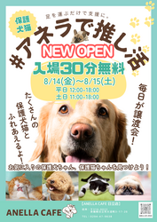 「オープン記念で30分無料！ワンちゃん猫ちゃんとふれあえる保護犬猫カフェが日立に開業」の写真