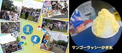 西葛西「新田はらっぱ公園」フリーマーケット