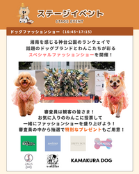 「愛犬と防災を楽しく学べる一日！入場無料のドッグフェスが湘南・神台公園で開催」の写真