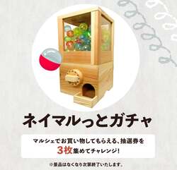 「ネイマルっとガチャ」