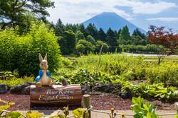 「富士山を背景に8万株の花畑！ペットも無料で入れる「虹の花まつり2026」が山梨で開催」の写真