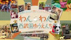 「前回は2400匹が来園！大好評「わんわん西武園ゆうえんち」が10月23日〜25日に開催決定」の写真