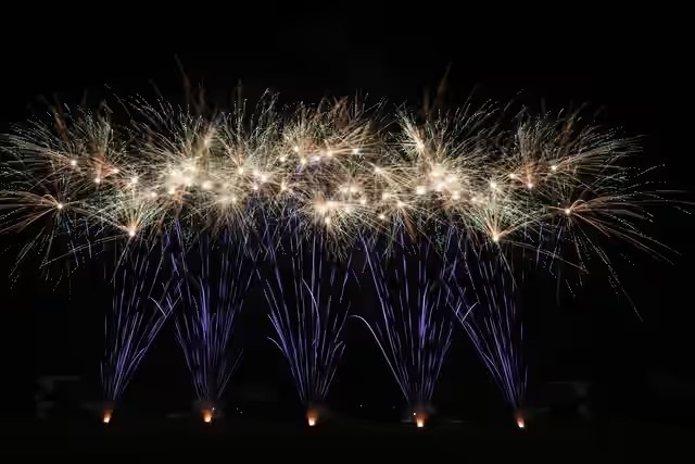 日本一の実績を誇る野村花火の演出が見どころです（画像提供：ひたちなか祭り実行委員会）